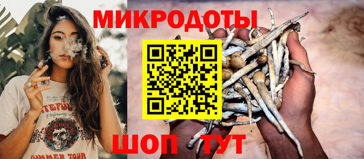 Псилоцибиновые грибы Psilocybine cubensis  Вход с VPN  Спасск-Дальний 